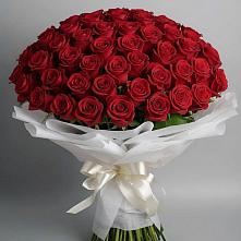 Букет 101 Красная роза Блэк Мэджик в Чамзинке