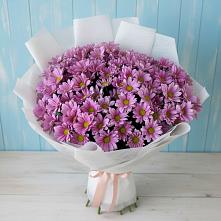 Букет цветов из:  Хризантемы в Чамзинке