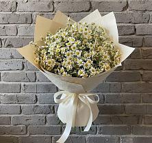 Букет цветов из:  Ромашки #REPLACE_PRED# Чамзинке