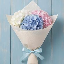 Букет цветов из:  Гортензия в Чамзинке
