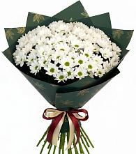 Букет цветов из:  Хризантемы #REPLACE_PRED# Чамзинке