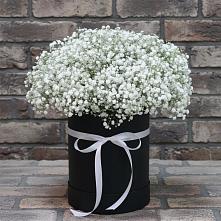 Цветочная композиция из Гипсофила в шляпной коробке #REPLACE_PRED# Чамзинке