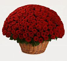 Премиум букет из: Розы #REPLACE_PRED# Чамзинке